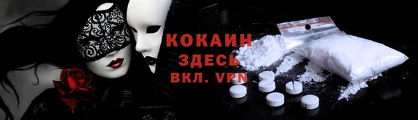 молекула духа Осташков