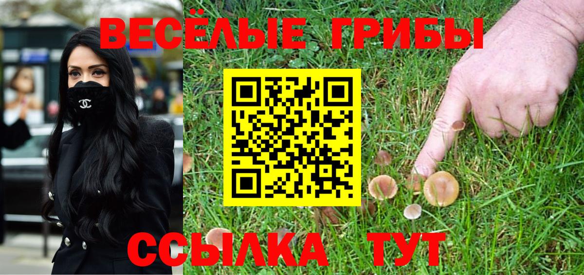 Галлюциногенные грибы мицелий  Вход с VPN  Ессентуки 