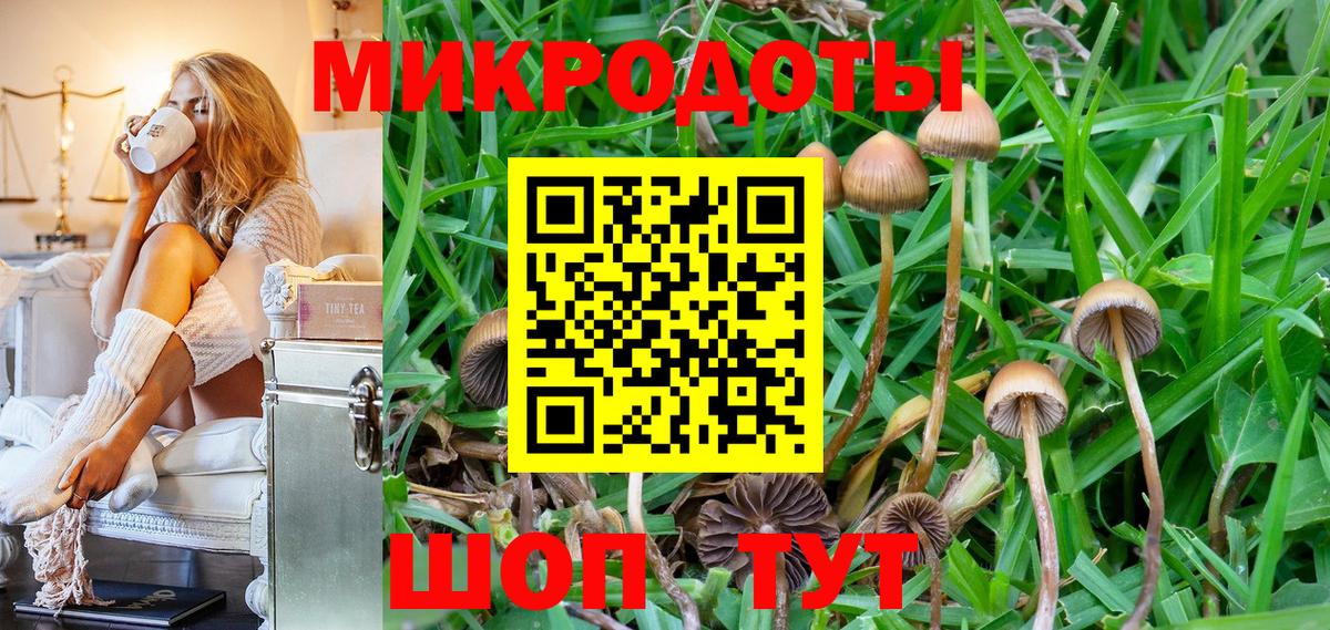 Галлюциногенные грибы GOLDEN TEACHER Ессентуки