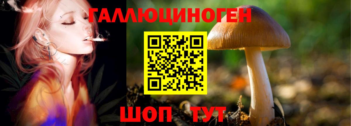 Ессентуки  МДМА  Как найти наркотики?  Канабис  Вход с VPN  Меф кристаллы  Гашиш  ГАШ  COCAIN 
